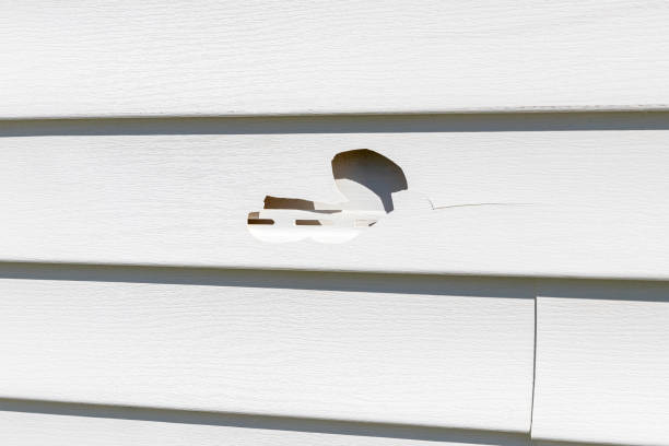 Trusted South Hill, VA Siding Services Experts